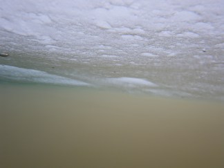 Sea Ice Bottom