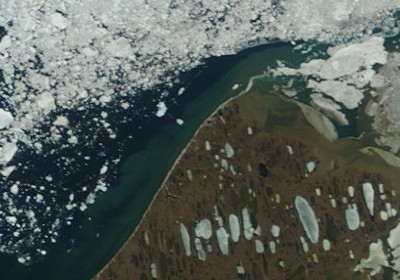MODIS image of 8 July, 2010